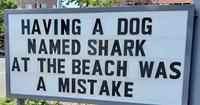 HAVING A DOG NAMED SHARK AT THE BEACH WAS A MISTAKE