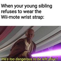 When your young sibling refuses to wear the Wii-mote wrist strap: He's too dangerous to be left alive!