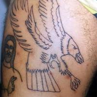 This bird