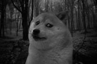 Is there even any hope for this subreddit? | /r/dogelore