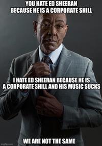 YOU HATE ED SHEERAN BECAUSE HE IS A CORPORATE SHILL I HATE ED SHEERAN BECAUSE HE IS A CORPORATE SHILL AND HIS MUSIC SUCKS imgflip.com WE ARE NOT THE SAME