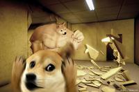 dogemuchwow.com