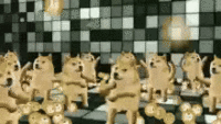 Goodmorning every doge how we doin' today? | /r/dogelore