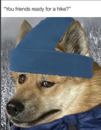 "You friends ready for a hike?"