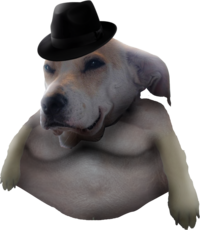Le Chunky has arrived | /r/dogelore