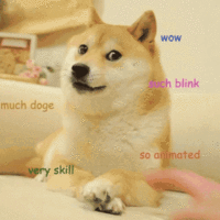 WOW much doge such blink so animated very skill
