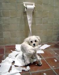 Who did that?