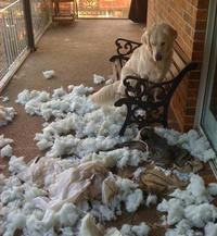 It just exploded