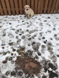 Someone was digging