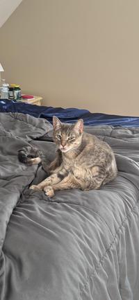 A strange blep from Sage