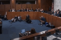 Katie Britt Reaction GIF Edit