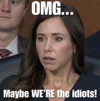 OMG... Maybe WE'RE the idiots!