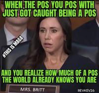WHEN THE POS YOU POS WITH JUST GOT CAUGHT BEING A POS #THIS IS MAGA AND YOU REALIZE HOW MUCH OF A POS THE WORLD ALREADY KNOWS YOU ARE MRS. BRITT REVKEV26