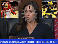 HAWKS I DO MRS RRITT SPECIAL COUNSEL JACK SMITH TESTIFIES BEFORE TH