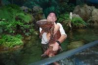This salamander