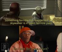 Something terrible has happened. Young skywalker is in pain, terrible pain Do I look like I give a f---?