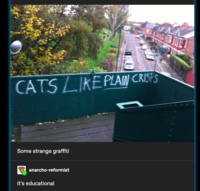 CATS LIKE PLAIN CRISPS Some strange graffiti anarcho-reformist it's educational