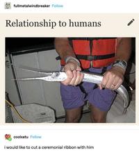 fullmetalwindbreaker Follow Relationship to humans coolxatu Follow i would like to cut a ceremonial ribbon with him