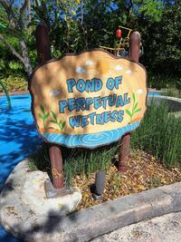 POND OF PERPETUAL WETNESS