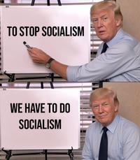 This exposé of MAGA logic also makes for a handy exploitable template.