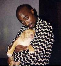 Tupac Shakur holding a small puppy named Player