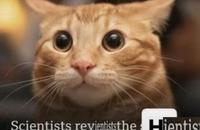 Scientists revientiststhe Hientist