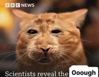 BBC NEWS Scientists reveal the Ooough