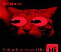 BBC NEWS Scientists reveal the Hi