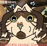 BC NEWS M N myn cientists reveal the secre