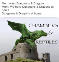 Me: I want Dungeons & Dragons Mom: We have Dungeons & Dragons at home Dungeons & Dragons at home: CHAMBERS & REPTILES
