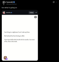 hasanabi @hasanthehun bro what is going on kleinhila Follow I am living in a nightmare I can't wake up from. My husband has been having an affair. I have been fed lie after lie after lie for months. I am tired of lies. Here is the truth. 1/3 0