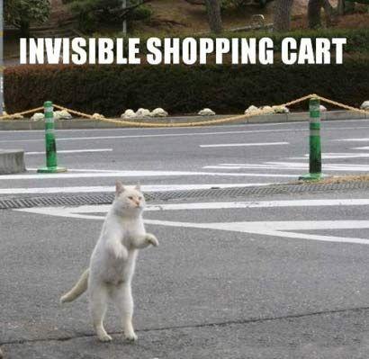 INVISIBLE SHOPPING CART
