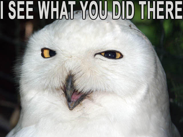 SEE WHAT YOU DID THERE