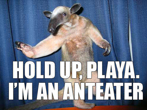 HOLD UP PLAYA I'M AN ANTEATER
