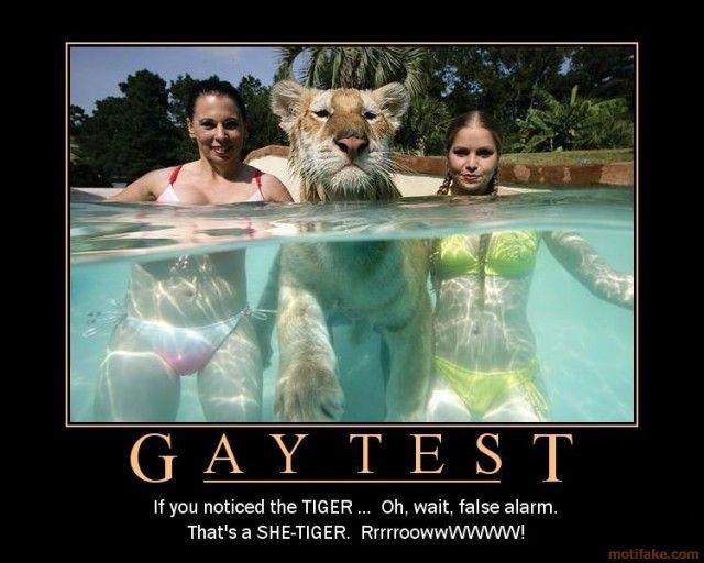 GAY TEST If you noticed the TIGER.. Oh, wait, false alarm. That's a SHE-TIGER. RrrrroowwwwwW! motifake.com