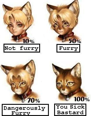 What made you a furry alignment chart (kinda crap did on phone) : r/furrymemes