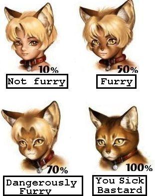 10% 50% Not furry urrv 70% 100% DanqerouslvYou Sick Bastard