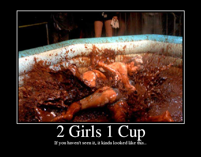 2 Girls 1 Cup If you haven't seen it, it kinda looked like this...