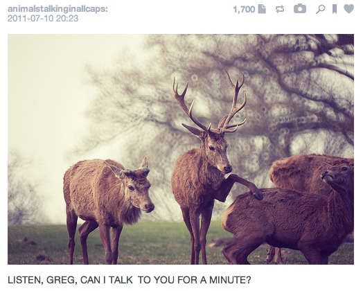 animalstalkinginallcaps: 2011-07-10 20:23 LISTEN, GREG, CAN I TALK TO YOU FOR A MINUTE?