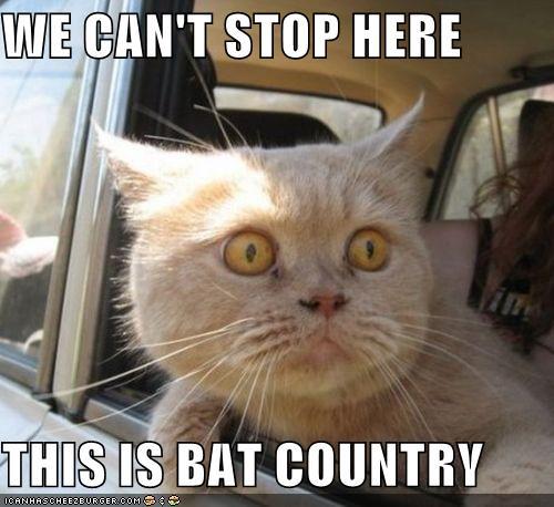 WIE CAN'T STOP HERE THIS IS BAT COUNTRV