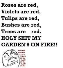 Roses are red, Violets are red, Tulips are red, Bushes are red, Trees are red, H-------- MY GARDEN'S ON FIRE!!