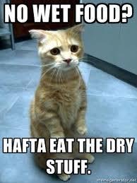 NO WET FOOD? HAFTA EAT THE DRY STUFF
