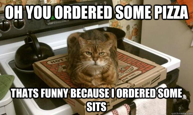 OHYOU ORDERED SOME PIZZA THATS FUNNY BECAUSE IORDEREDSOME SITS quickmeme.com