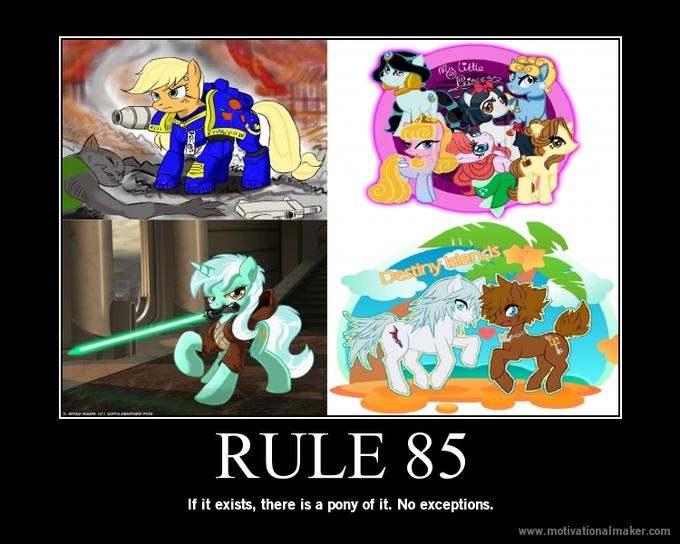 RULE 85 If it exists, there is a pony of it. No exceptions. www.motivationalmaker.com