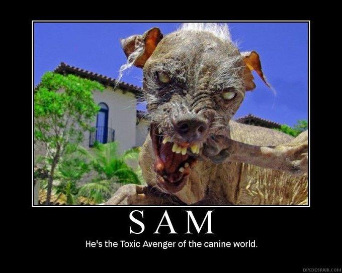 Scary Dog Face Meme