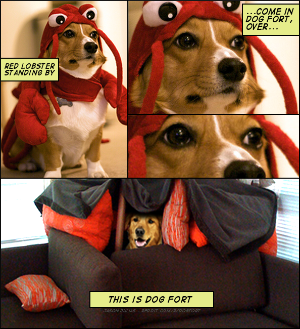 COME IN DOG FORT, OVER... RED LOBSTER ST ANDING BY THIS IS DOG FORT