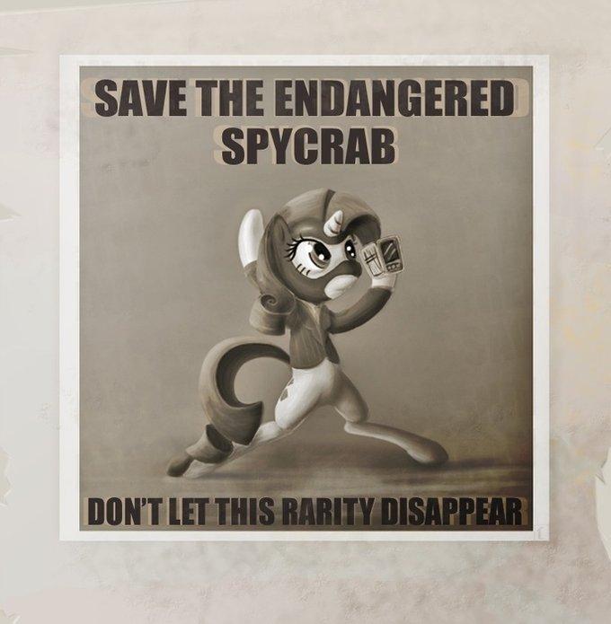 SAVE THE ENDANGERED SPYCRAB DON'T LET THIS RARITY DISAPPEA