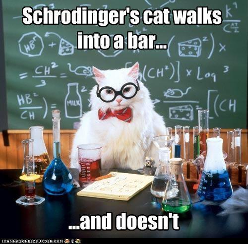 Schrodinger's cat walks intoa liar."( CH)x oi H8t CH MIL ..and doesn't 10 AN HAS CHEEZBURGER, COM 흡후 e