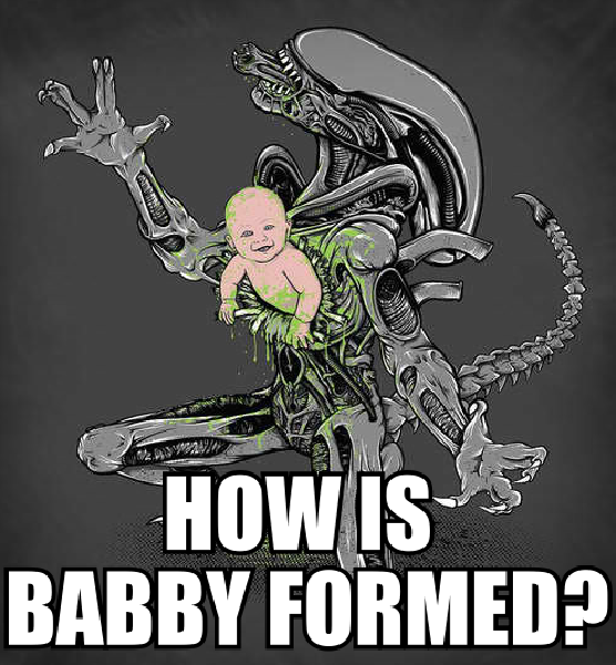 HOW IS BABBY FORMED?