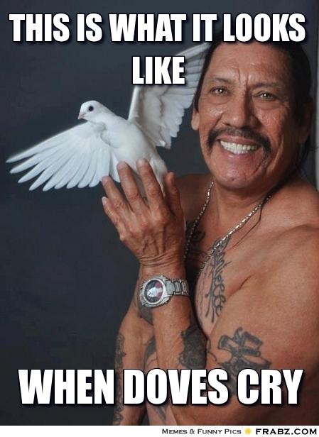 THIS IS WHAT IT LOOKS LIKE WHEN DOVES CRY MEMES & FUNNY PICS FRABZ.COM
